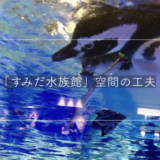 最も未来に近い水族館『すみだ水族館』室内でも楽しめる展示空間の魅力