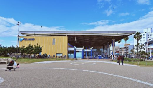 見どころ満載の新江ノ島水族館（えのすい）を徹底リポート！その魅力とは